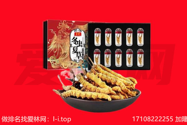洋县回收虫草.jpg